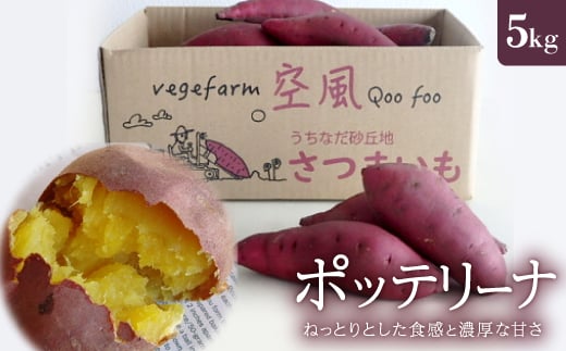 ねっとりとした食感と濃厚な甘さ　さつまいも　ポッテリーナ(5kg)【1598273】
