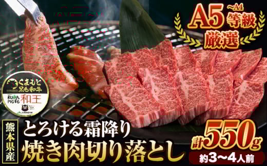 くまもと黒毛和牛 和王 バラ 霜降り 焼肉切り落とし 550g A5 A4 等級《7-14日以内に出荷予定(土日祝除く)》熊本県 長洲町 黒毛和牛 牛肉 冷凍 個別 取分け 小分け チャック付き バラ凍結 肉 お肉 焼き肉 焼き肉用