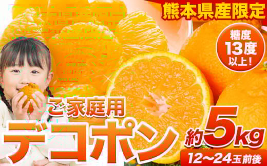 ご家庭用 デコポン デコポン約5kg前後(約12-24玉前後)《2026年2月上旬-4月末頃出荷》不知火 熊本県産 熊本県 長洲町 糖度13度以上