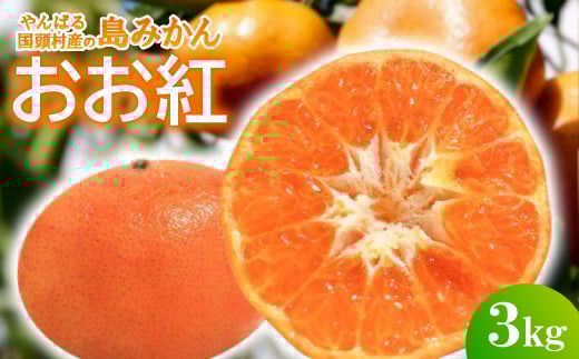＜2025年12月頃から順次発送＞やんばる国頭村産の島みかん おお紅 3kg【1618480】