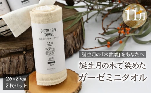 11月「銀杏(イチョウ)」の木言葉 「長寿」　 BIRTH TREE TOWEL  | RYOKUSUIEN 緑酔園 草木染め THE NEWOLD WORKS バースツリータオル 銀杏 イチョウ ガーゼ タオル ハンカチ  ふわふわ 植物 草木染ガーゼ アップサイクル エシカル ヘリンボーン ギフト贈り物 お祝い プレゼント 母の日 父の日 記念日 誕生日 埼玉県 草加市 草加 2123655 - 埼玉県草加市