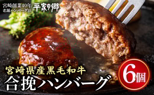 [創業40年]老舗ハンバーグ店「平家の郷」宮崎県産黒毛和牛合挽ハンバーグ140g×6個_M222-012_01