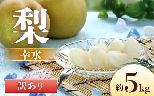 I-12 梨 幸水※訳あり品 ※ 約5kg【8～16玉】※2025年発送　先行予約分※
