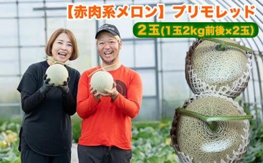 808.【赤肉系メロン】プリモレッド×２玉（1玉2kg前後×2玉）※離島への配送不可 2117048 - 鳥取県北栄町