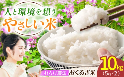 れんげ畑のおくるぎ米 10kg/環境保全米 有機肥料 お米 おこめ/御嵩町/株式会社アオキ [AVBN006]