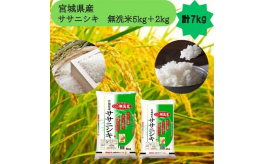 令和6年産＜宮城県産＞ササニシキ　無洗米5kg+2kg　計7kg【1612026】