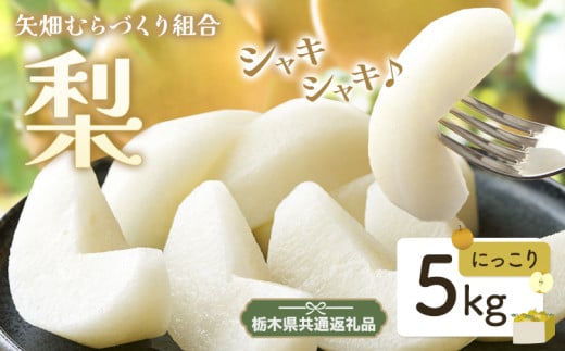 N05 梨 なし にっこり梨 5kg フルーツ 先行予約 矢畑むらづくり組合《9月下旬-10月中旬頃出荷》 栃木県【栃木県共通返礼品　栃木県産】【配送不可地域あり】(離島) 582213 - 栃木県野木町