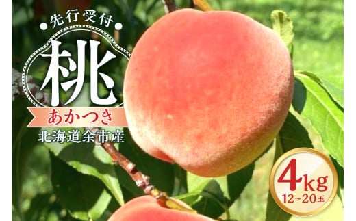 【先行予約2025年8月下旬より発送】<北海道余市産>桃「あかつき」4kg(12~20玉) 1899060 - 北海道余市町