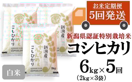 【先行予約・令和7年産新米・5ヶ月定期便】コシヒカリ 白米 6kg（2kg×3袋）×5回（計 30kg）ヤタらうんめぇお米 水田環境鑑定士在籍[Y0508] 2137186 - 新潟県柏崎市