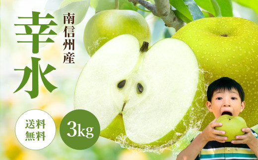 南信州産 梨【幸水】3kg | 果物 フルーツ 果実 なし 和梨 梨 幸水 長野県 飯田市 信州 2097789 - 長野県飯田市