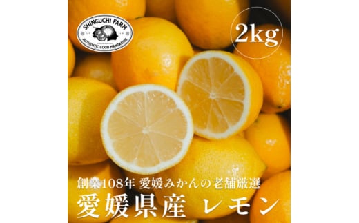 ＜創業108年＞老舗農家の特選レモン2kg＜愛媛県産＞＜防腐剤・ワックス不使用＞＜A70-76＞【1624050】 2117666 - 愛媛県八幡浜市