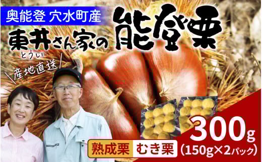 【先行予約】東井栗園の熟成能登栗（むき栗） 150g × 2パック 計300g～能登の大地で育った能登栗～【2025年10月下旬以降順次発送】/  能登半島 奥能登 くり 生栗 マロン 和栗 焼き栗 栗ごはん 焼き栗 国産 果物 2118184 - 石川県穴水町