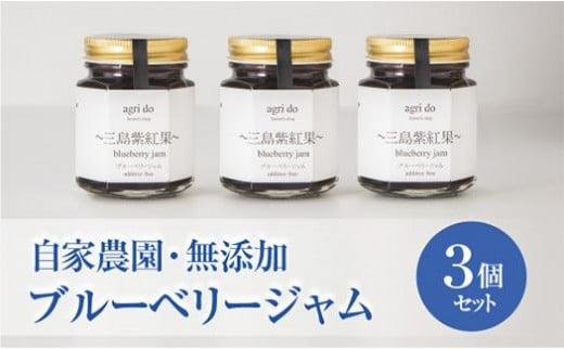 ブルーベリージャム 3個入り ブルーベリー フルール ジャム 果物 三島紫紅果 みしまぶるーべりー agri do 果実 静岡県 三島市 734502 - 静岡県三島市