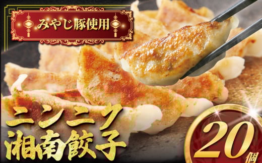 肉汁たっぷり にんにく餃子 20個入り みやじ豚 冷凍餃子 ブランド豚 100%  ニンニク 餃子 ぎょうざ ギョウザ ギョーザ ぎょーざ 焼き餃子 水餃子 gyouza おつまみ おかず 一口 お惣菜 ごはんのお供 国産 中華 お取り寄せ ギフト お土産 冷凍 加工 食品 神奈川 湘南 藤沢 1155872 - 神奈川県藤沢市