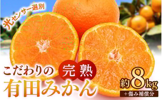 早期先行予約！  こだわりの有田みかん 約8kg＋250g(傷み補償分) 【ご家庭用】【12月発送】 光センサー選別品 農家直送品 ※北海道・沖縄・離島配送不可 / みかん 有田みかん 温州みかん 柑橘 果物 くだもの フルーツ 有田 和歌山 和歌山県産 産地直送 【nuk100-12】  2106358 - 和歌山県由良町