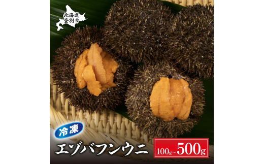 ロシア産 エゾバフンウニ 冷凍パック 500g