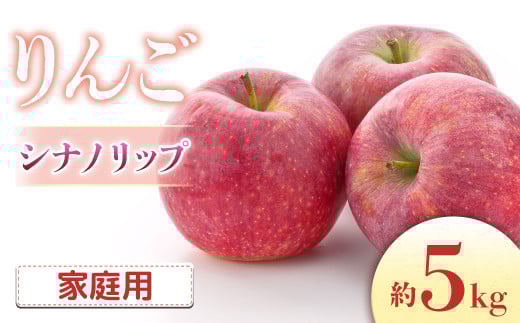A-60 りんご シナノリップ 約5kg(16~20玉入り)※ご家庭用※<2025年発送 先行予約> 725683 - 長野県豊丘村