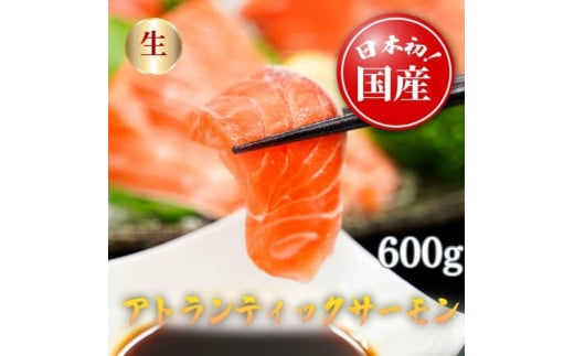 C62【毎週金曜発送】日本初！今話題の国産アトランティックサーモン「FUJI ATLANTIC SALMON」【生】600ｇ	 2056877 - 静岡県小山町