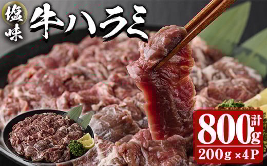  塩味 牛ハラミ (計800g) 小分け 牛肉 肉 ハラミ 牛はらみ 味付け 焼肉 塩 BBQ 冷凍 大分県 佐伯市【DH298】【(株)ネクサ】 2121932 - 大分県佐伯市