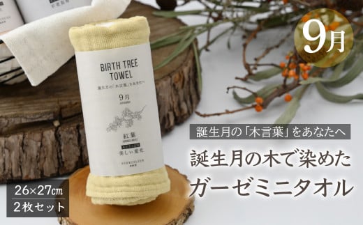 9月「紅葉(モミジ)」の木言葉 「美しい変化」　 BIRTH TREE TOWEL  | RYOKUSUIEN 緑酔園 草木染め THE NEWOLD WORKS バースツリータオル 紅葉 モミジ ガーゼ タオル ハンカチ  ふわふわ 植物 草木染ガーゼ アップサイクル エシカル ヘリンボーン ギフト贈り物 お祝い プレゼント 母の日 父の日 記念日　埼玉県 草加市 草加 2123653 - 埼玉県草加市