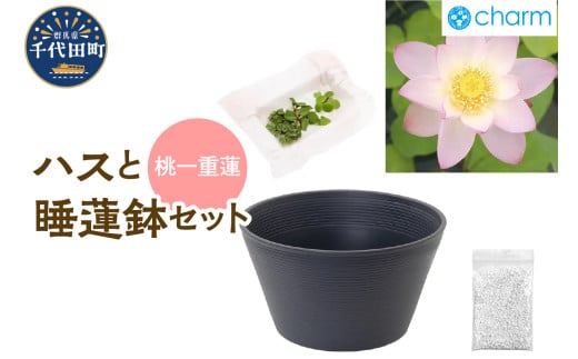 ハスと睡蓮鉢セット 桃一重蓮 群馬県千代田町 ビオトープ インテリア ナチュラル かわいい リラクゼーション 室内栽培 プレゼント ギフト 贈答用 お祝い 送料無料 趣味 家庭 ライフスタイル 人気 オススメ 初心者 玄関リビング キッチン 株式会社チャーム