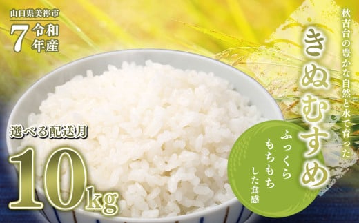 令和7年度産 新米 きぬむすめ 白米 10kg 先行予約 ＜ 2025年10月中旬～より順次発送予定 ＞ ｜ 精米 新米 白米 米 お米 コメ 単一米 きぬむすめ 山口 美祢 秋吉台 10kg 2112778 - 山口県美祢市
