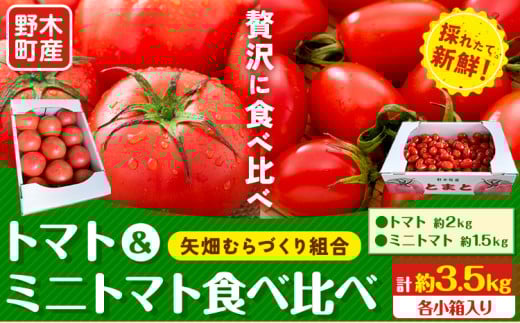 トマト 小箱 約2kg + ミニトマト 小箱 約1.5kg 食べ比べ 栃木県 野木町産 矢畑むらづくり組合 《10月上旬-6月下旬頃出荷》栃木県 野木町 トマト ミニトマト 野菜 新鮮 581596 - 栃木県野木町