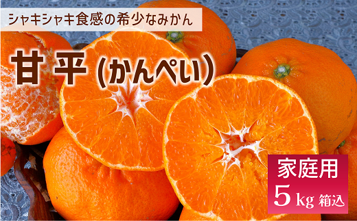 甘平 みかん 愛媛 バラ詰め 約5kg 人気 数量限定 先行予約 【2026年2月上旬以降発送】 柑橘 愛媛県産 伊予市|C131 2117830 - 愛媛県伊予市