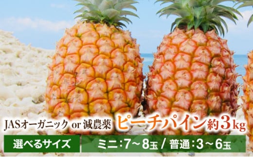 2025年 先行予約 パイナップル ついに実現 転換期間中 JASオーガニック ピーチパイン約3kg JASオーガニックor減農薬 ミニ7〜8玉 普通3〜6玉 果物 フルーツ