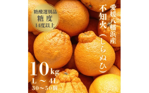 ＼糖度14.0以上酸1.4以下/糖酸選別品 愛媛産 不知火 (しらぬひ) 10kg＜D20-8＞_ デコポン と同品種 しらぬい みかん オレンジ フルーツ 旬 果物 柑橘 愛媛県 愛媛 人気 愛媛みかん 【1094587】 393977 - 愛媛県八幡浜市