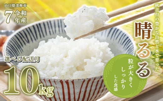 令和7年度産 新米 晴るる 白米 10kg 先行予約 ＜ 2025年11月～より順次発送予定 ＞ ｜ 精米 新米 白米 米 雑穀 お米 コメ 単一米 晴るる はるる  山口 美祢 秋吉台 10kg 2112783 - 山口県美祢市