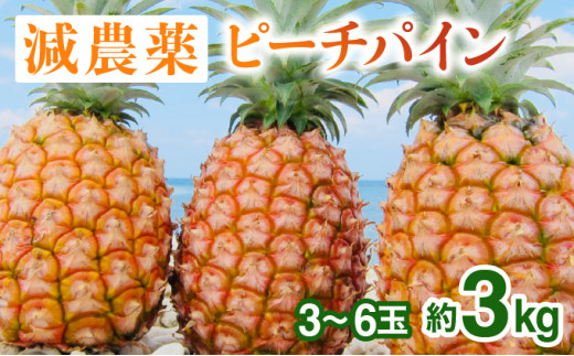 2026年 先行予約 栽培期間中 減農薬 ピーチパイン 約3kg 3〜6玉 西表島アナナス農園 完熟 パイン 果物 フルーツ