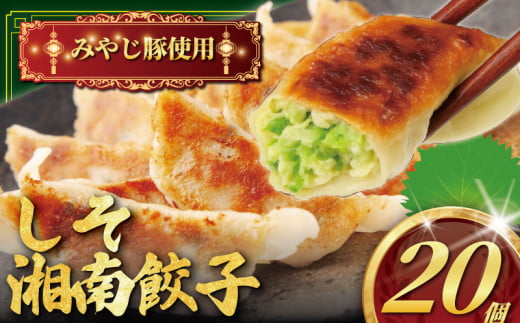 しその香り漂う肉汁たっぷり しそ餃子 20個 冷凍餃子 みやじ豚 ブランド豚 100% 餃子 ぎょうざ ギョウザ ギョーザ ぎょーざ 焼き餃子 豚肉 おつまみ  gyouza 水餃子 中華料理 国産 中華 お取り寄せ ギフト 化粧箱入 贈り物 贈答 お土産 冷凍 加工 食品 神奈川 湘南 藤沢 1155870 - 神奈川県藤沢市