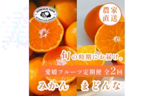＜発送月固定定期便＞愛媛フルーツ旬の柑橘 みかん・まどんな 各3kg＜G70-78＞全2回【4067785】 2117668 - 愛媛県八幡浜市