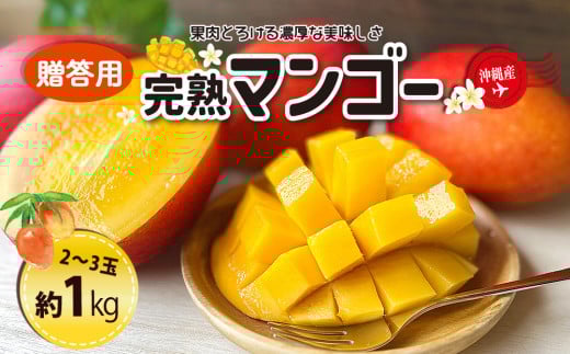 ＜熱帯資源植物研究所＞贈答用マンゴー１kg