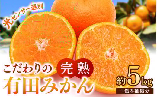 早期先行予約！  こだわりの有田みかん 約5kg＋250g(傷み補償分) 【ご家庭用】【12月発送】 光センサー選別品 農家直送品 ※北海道・沖縄・離島配送不可 / みかん 有田みかん 温州みかん 柑橘 果物 くだもの フルーツ 有田 和歌山 和歌山県産 産地直送 【nuk160-12】  2106355 - 和歌山県由良町
