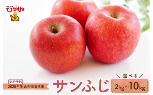 [2025年産 先行予約]りんご「サンふじ」(選べる内容量:2kg / 3kg / 5kg / 10kg) JA提供 山形県 東根市 hi003-136