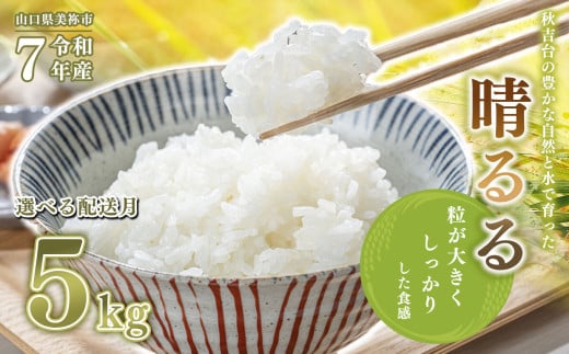 令和7年度産 新米 晴るる 白米 5kg 先行予約 ＜ 2025年11月～より順次発送予定 ＞ ｜ 精米 新米 白米 米 お米 コメ 単一米 晴るる はるる  山口 美祢 秋吉台 5kg 2112781 - 山口県美祢市
