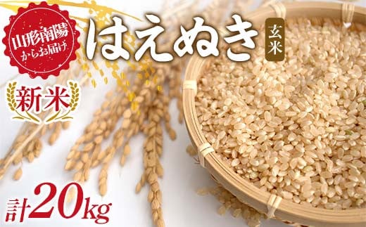 【令和7年産 新米 先行予約】 はえぬき (玄米) 20kg (10kg×2袋) 《令和7年9月下旬～発送》 『マルタニ農園』 山形南陽産 米 ご飯 農家直送 山形県 南陽市 [2391-R7]
