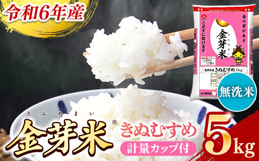 BG無洗米・金芽米きぬむすめ 5kg 計量カップ付き【令和6年産 節水 低カロリー 健康 ビタミン ミネラル つや お弁当 おいしい うまみ 甘み ふっくら 時短 簡単 島根県 安来市】【価格変更】