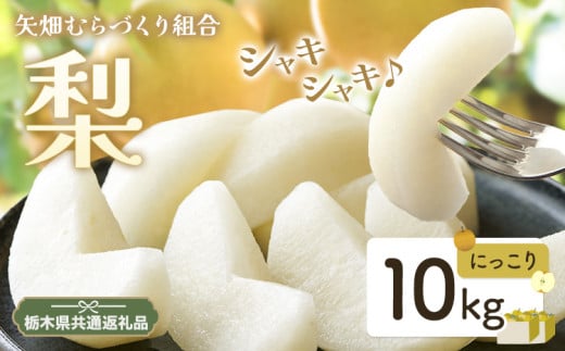 N05 梨 なし にっこり梨 10kgフルーツ 先行予約 矢畑むらづくり組合《9月下旬-10月中旬頃出荷》 栃木県【栃木県共通返礼品　栃木県産】【配送不可地域あり】(離島) 582214 - 栃木県野木町