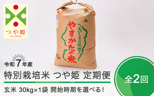 新米 米 令和7年産 【玄米2回定期便】 つや姫 30kg×2回 2026年4月・2026年7月発送 大石田町産 特別栽培米 玄米 ja-tsgxa30x2-tkk4to7