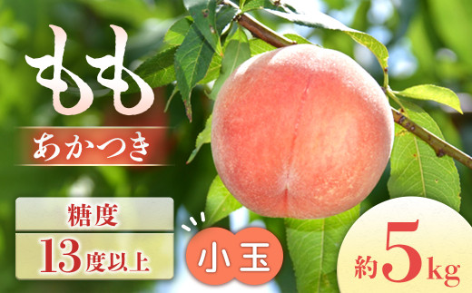 J-1 もも　あかつき 約5kg【小玉 20～22玉】