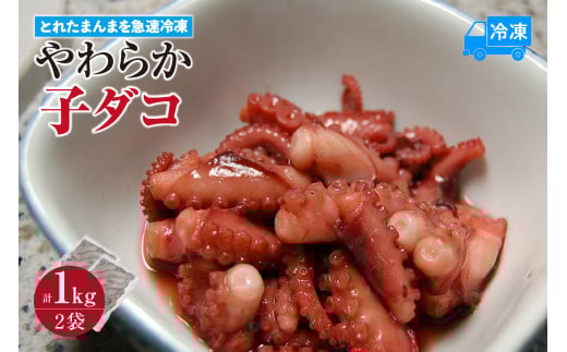 【とれたまんまを急速冷凍 やわらか子ダコ 500g×2袋 1kg 冷凍】ご入金確認後、順次発送予定 国産 小だこ 生 真空パック 産地直送 鮮度抜群 タコ たこ 海鮮 ふるさと納税 おすすめ 返礼品 兵庫県 香美町 香住 山米鮮魚 11000円 74-28 2135750 - 兵庫県香美町