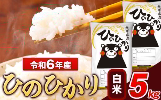 【親】　米 令和6年産 ひのひかり 白米 5kg 《7-14日以内に出荷予定(土日祝除く)》 5kg×1袋 熊本県産 米 精米 ひの 長洲町