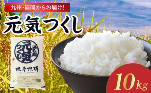 九州・福岡からお届け！ブランド米「元気つくし」 10kg(5㎏×2) お米 米 コメ 白米 特A 直送 お弁当 おにぎり 炊きたて ツヤ 粘り もちもち 弾力 卵かけご飯 福岡県 八女市