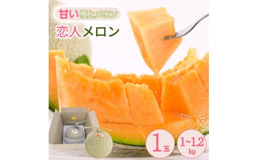 熊本県 美里町 「恋人メロン」 1玉(1.0～1.2kg) ＜上田農園＞【1624964】