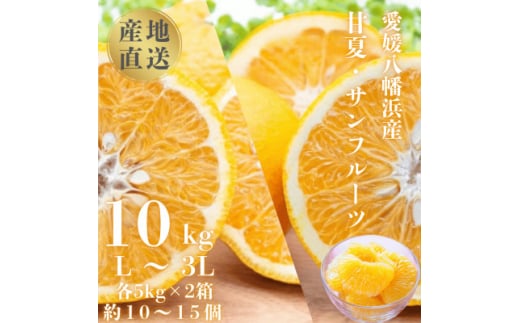 甘夏&サンフルーツ各5kg＜D20-10＞【1094576】 393979 - 愛媛県八幡浜市