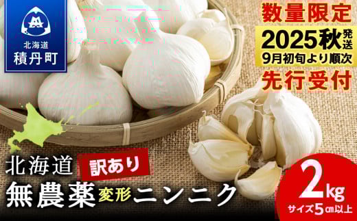 【数量限定】訳あり無農薬変形ニンニク2kg（500g×4袋）玉 変形 無農薬 にんにくガーリック 2116375 - 北海道積丹町