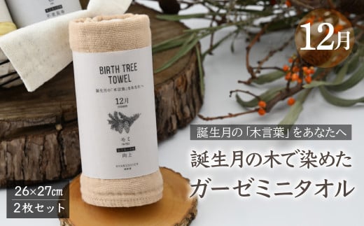 12月「モミ」の木言葉 「向上」　 BIRTH TREE TOWEL  | RYOKUSUIEN 緑酔園 草木染め THE NEWOLD WORKS バースツリータオル モミ ガーゼ タオル ハンカチ  ふわふわ 植物 草木染ガーゼ アップサイクル エシカル ヘリンボーン ギフト贈り物 お祝い プレゼント 母の日 父の日 記念日 誕生日 埼玉県 草加市 草加 2123656 - 埼玉県草加市